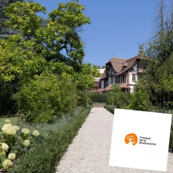 Atelier adulte : Fresque de la Biodiversité