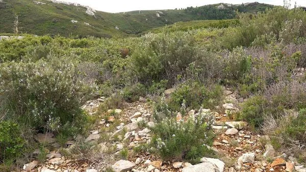 Entre garrigue et chèvrerie