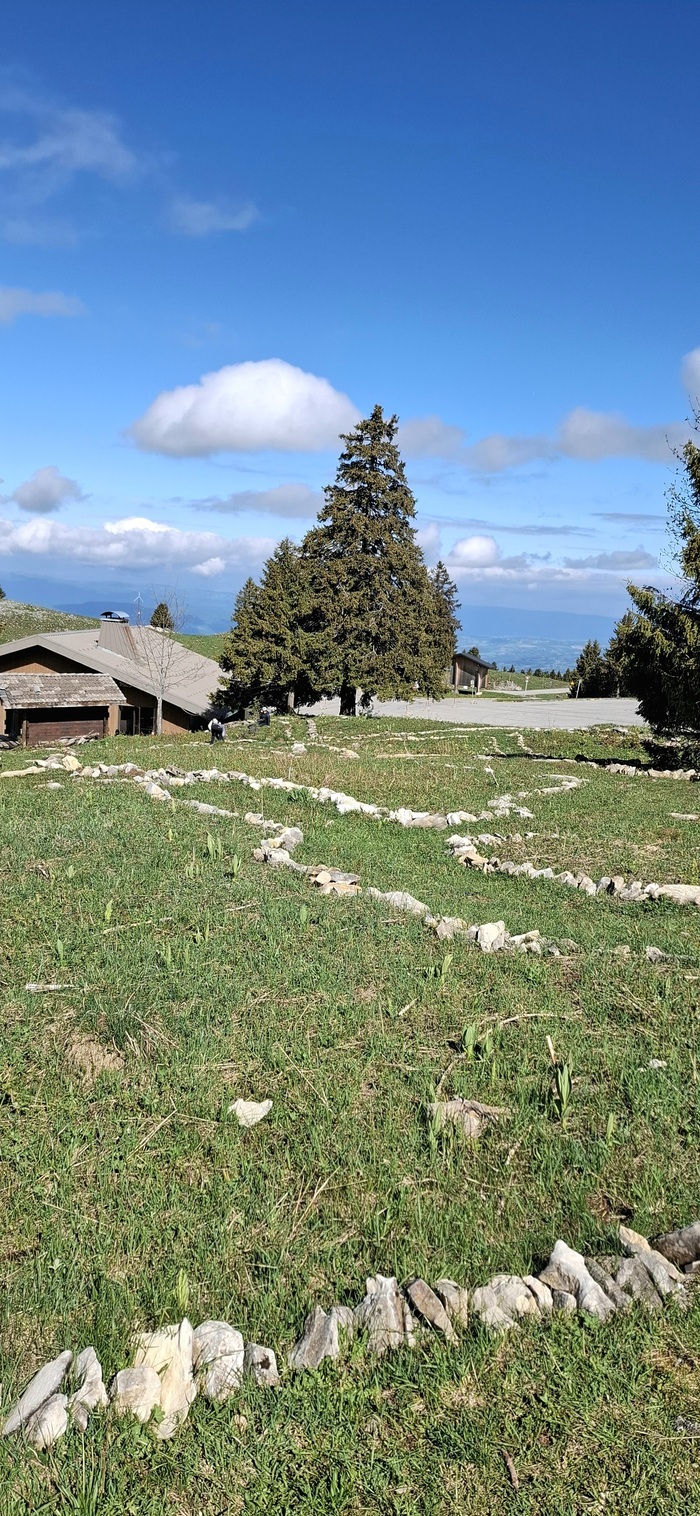 Visite découverte du Jardin Alpin du Semnoz