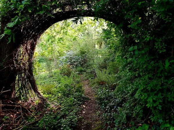 Visite du jardin expérimental de Biodiversio