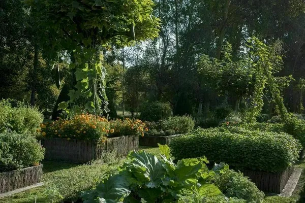 Découverte d'un jardin d'inspiration médiévale