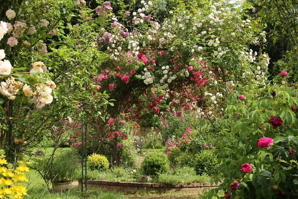 Visite guidée du Domaine des Roches Blanches
