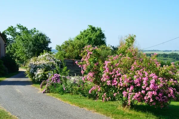 Rendez-vous au Jardin d'En Galinou