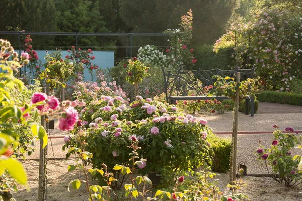 Visite guidée sur les pas de la romancière Colette