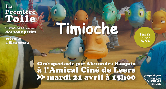 Timioche
