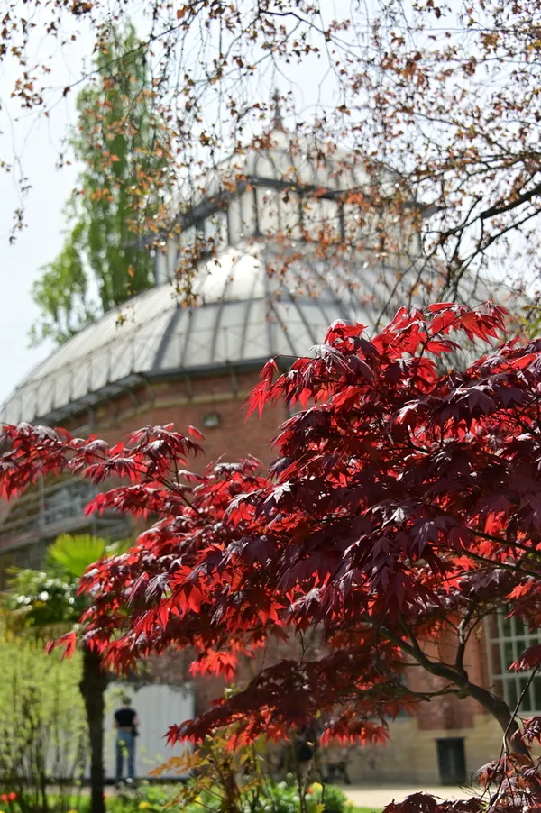Rendez-vous au Jardin botanique