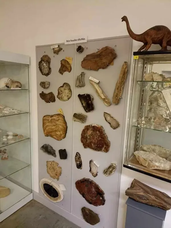 Découvrez les secrets géologiques de notre Terre