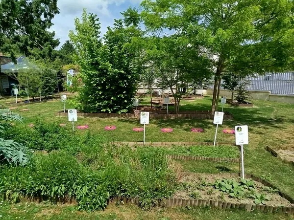 Visite guidée du jardin de plantes tinctoriales de la Maison du Textile