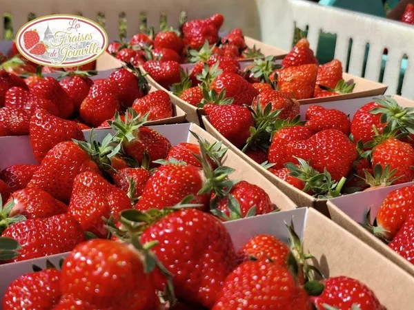 La fraise à l'honneur
