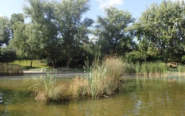 Paris sport proximité : Course à pied au Parc Kellermann