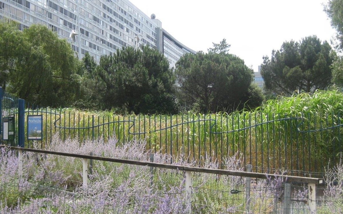 Le jardin Atlantique
