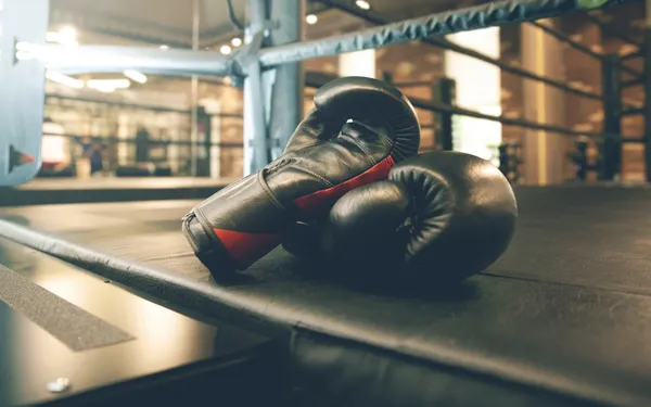 Paris sport proximité : boxe et préparation physique au Centre Sportif Angélique Duchemin (ex - TEP les Amandiers)