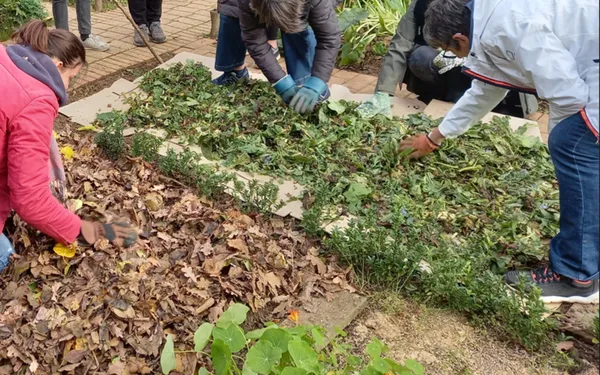 Conseils et techniques pour économiser l'eau au jardin