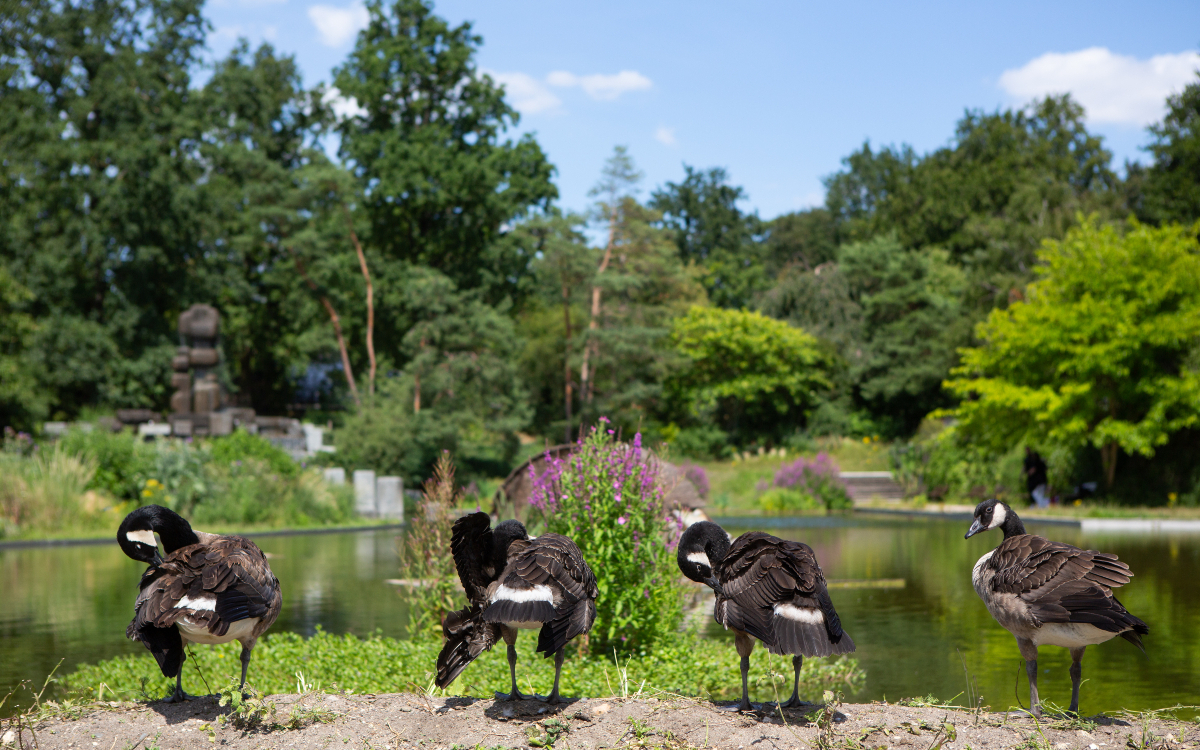 Visite du parc Floral de Paris