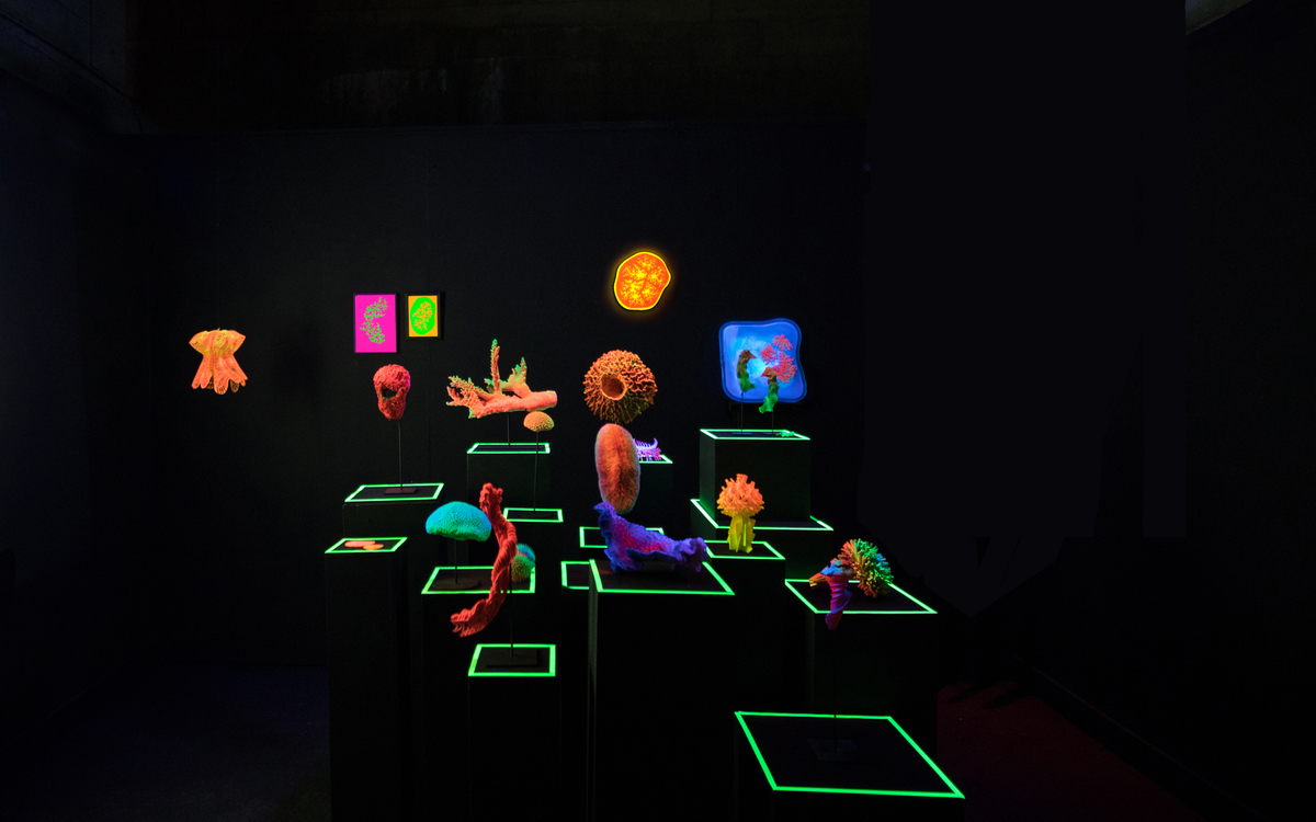 « Digital abysses » : quand l’art et la tech illuminent les fonds marins
