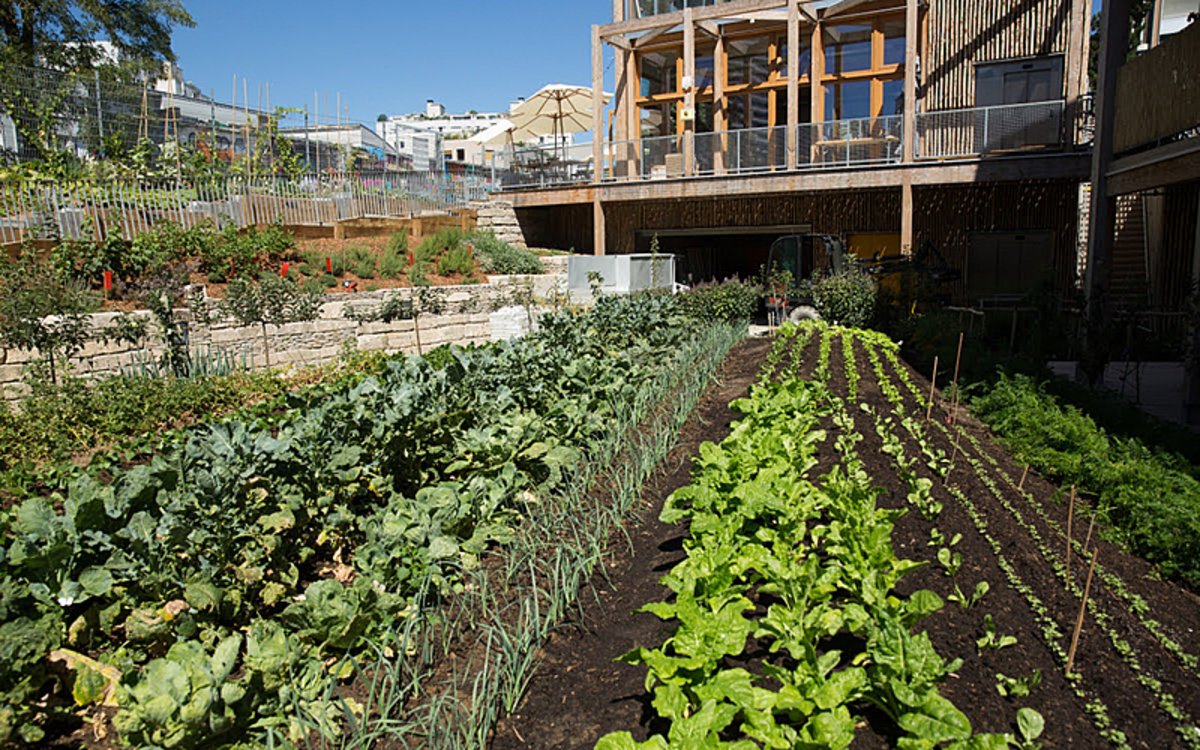 Visite Ferme du Rail et jardins partagés : productions alimentaires dans le 19ème arr.