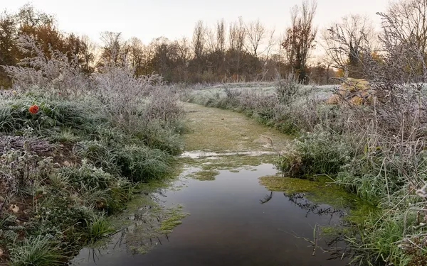 Le Bénévolat à la Prairie du canal