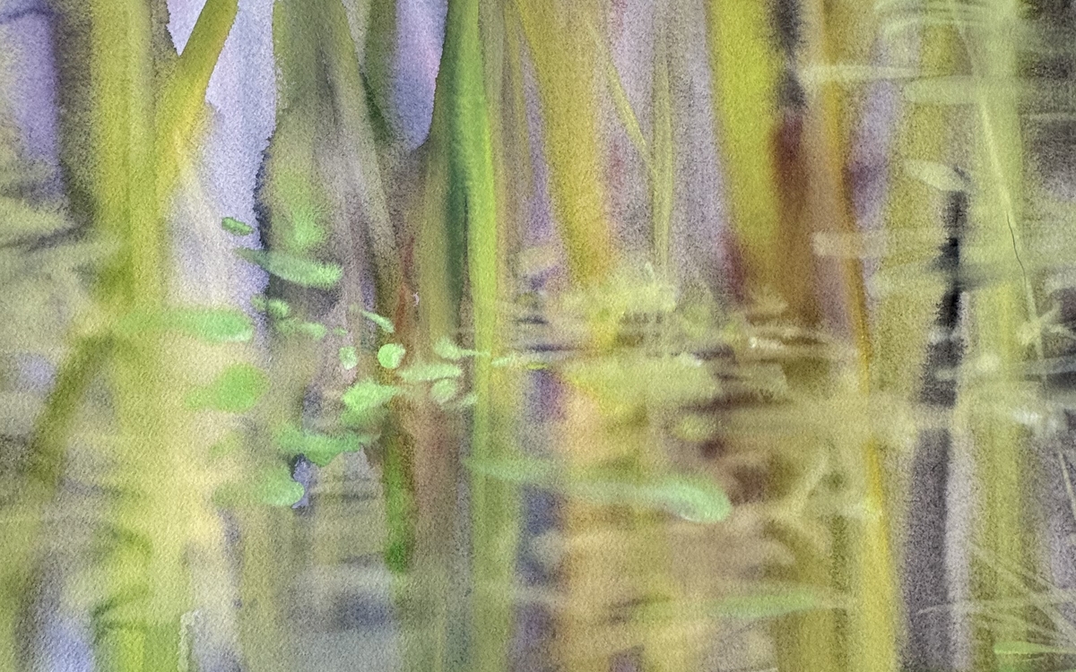 EXPOSITION "BAMBOUS", d'ALEXANDRA DEMAN. A visiter pour la Semaine du dessin.