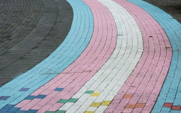 Belgian Theory #1 : Hors des normes ? Les personnes trans dans la société