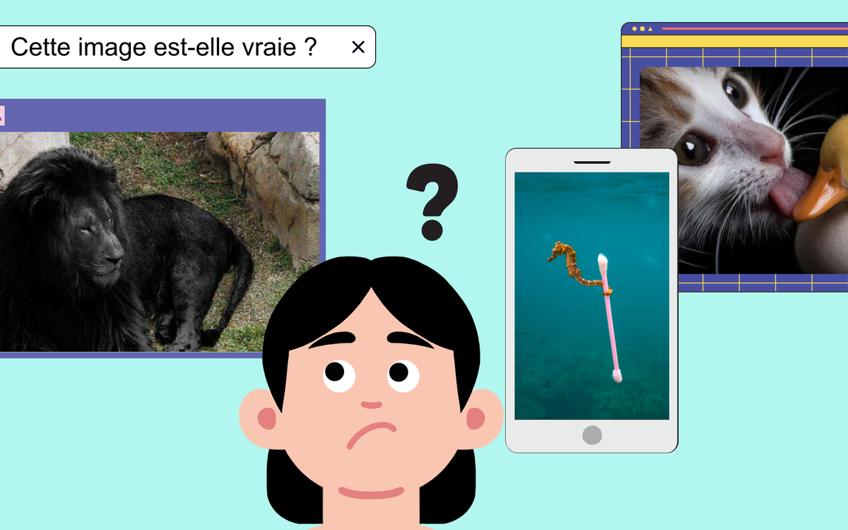 Atelier numérique : discerner le vrai du faux sur internet
