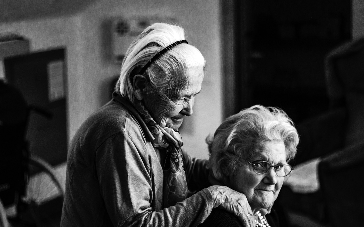 Spectacle de théâtre : La nostalgie des blattes