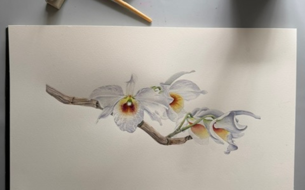 Atelier Aquarelle Botanique