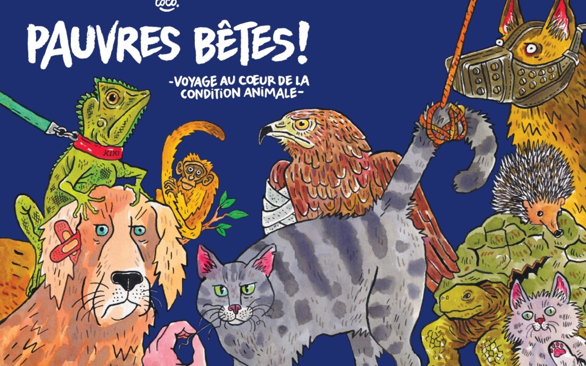 Voyage au cœur de la condition animale