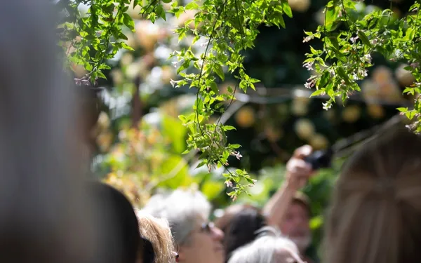 Festival de la nature : l'air dans tous ses états