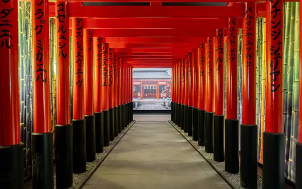 Passion Japon, l'exposition immersive