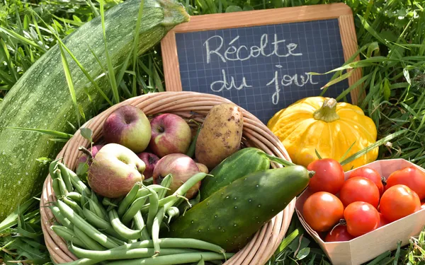 Cueillettes d'été à la Ferme de Paris