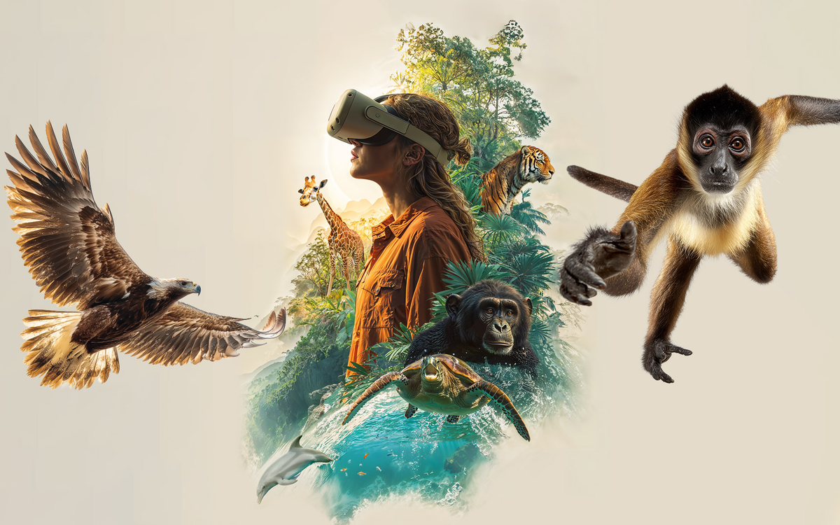 Explorez la nature sauvage en réalité virtuelle au Forum des images