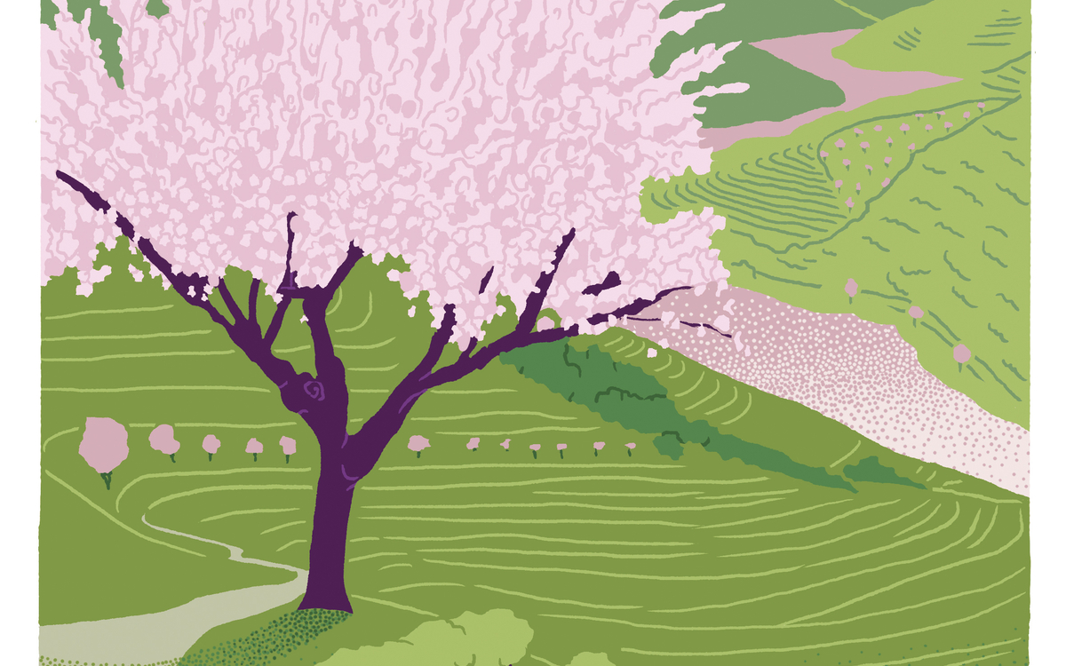 Festival Un Temps pour Elles : JARDINS DU MONDE