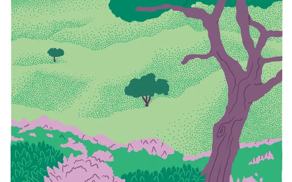 Festival Un Temps pour Elles : SOUS LES ARBRES