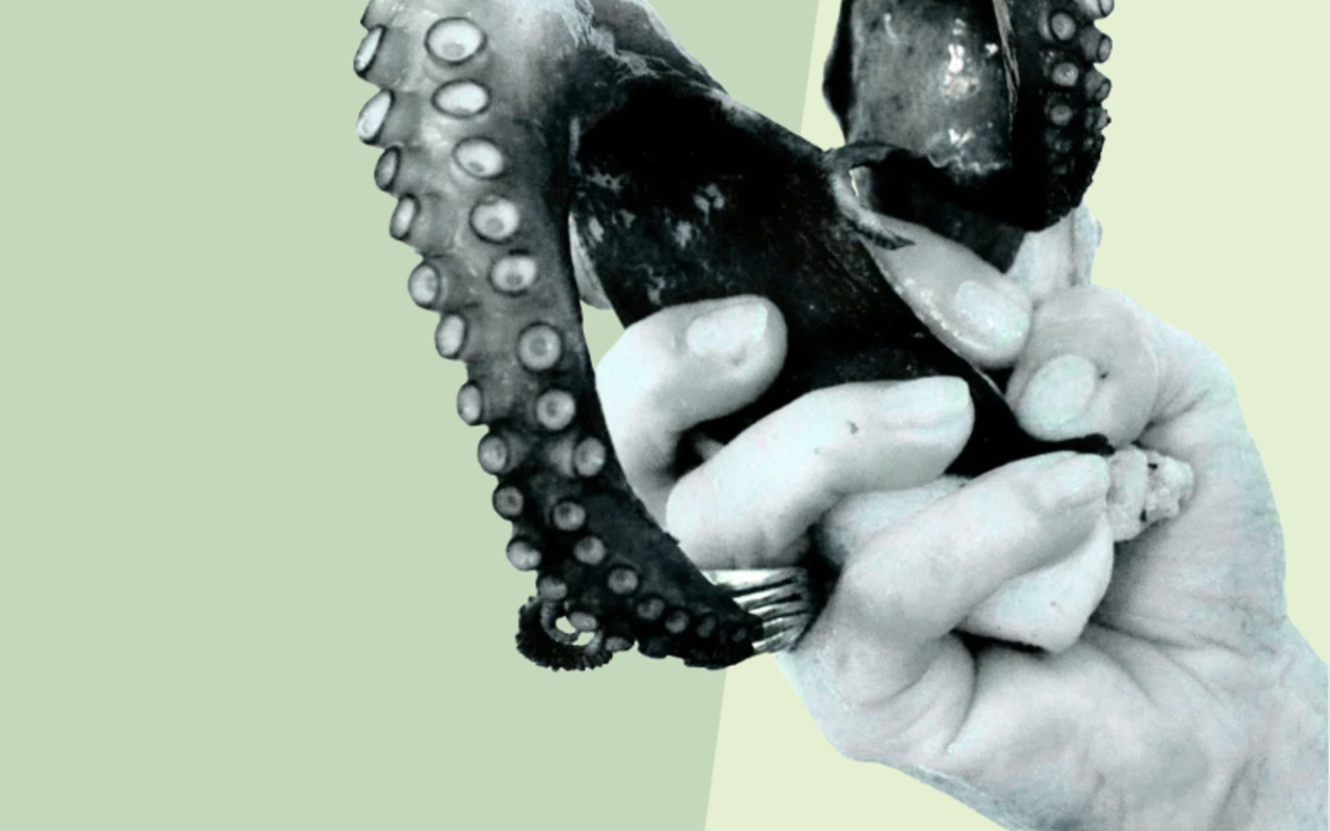 Exposition Bicéphale (8-15 juin) au Wilde