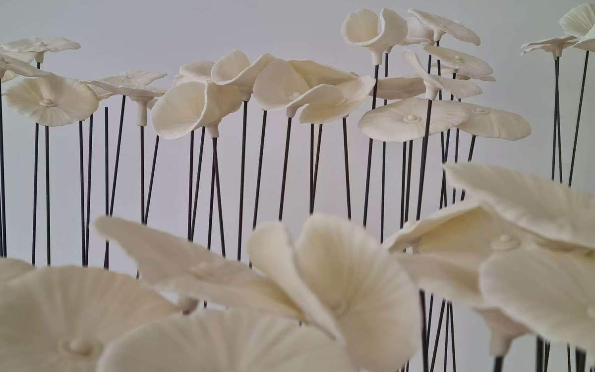 Exposition solo « Alice au royaume illusoire » : XiaoWei Yuan