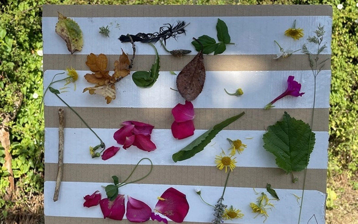 Créé ton tableau végétal
