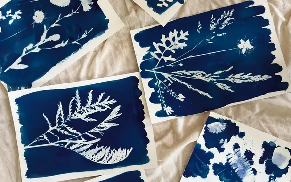 Réalisez votre cyanotype botanique !