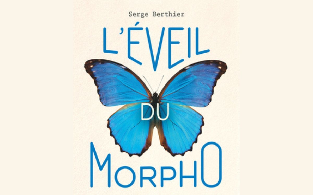 L'éveil du Morpho : bio-inspirez-vous !