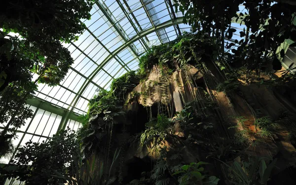 Visitez les Grandes Serres du Jardin des Plantes