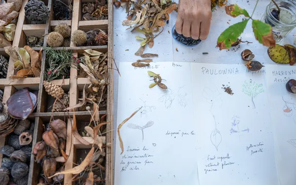 Fête des jardins : Paris Centre célèbre la nature en ville !