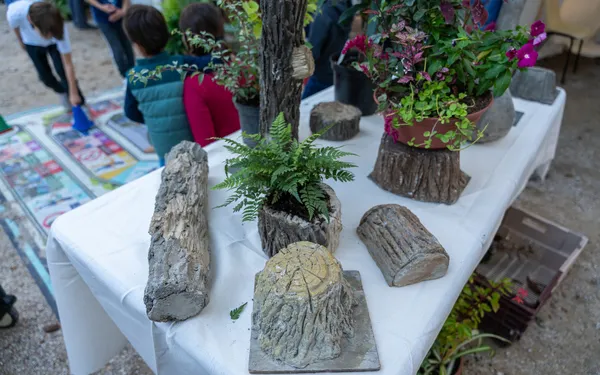 Fête des jardins : le 10e célèbre la nature en ville !