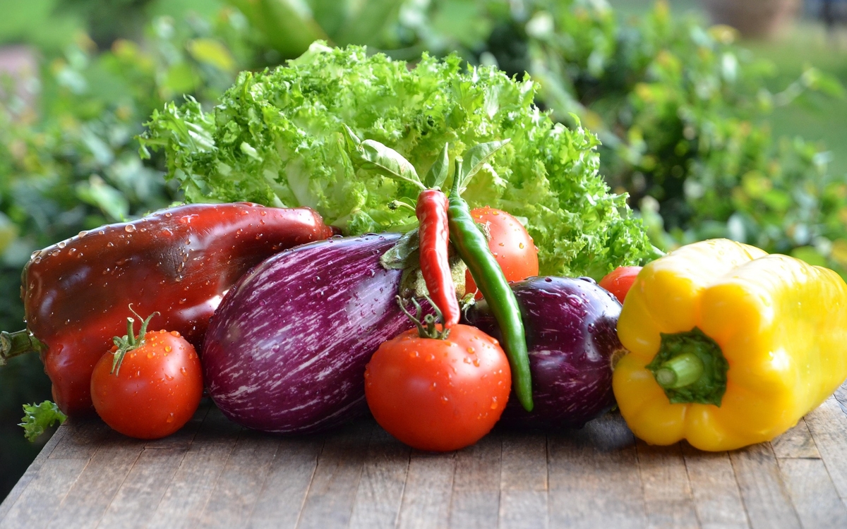 Pourquoi végétaliser son alimentation ?