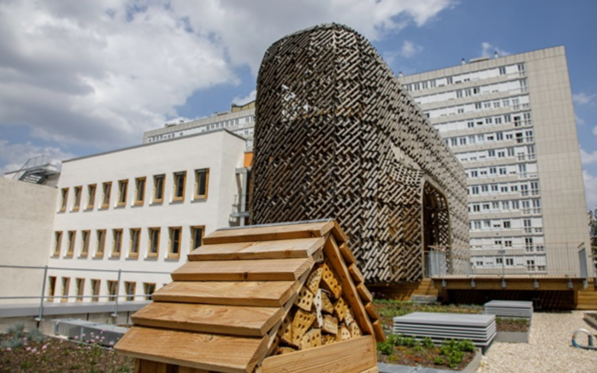 Métiers de Ville, métiers de vie : architecture, climat… rencontrez les professionnels qui transforment Paris