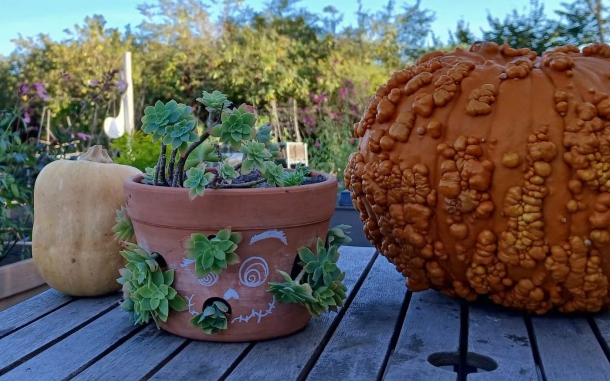 Ma créature succulente !