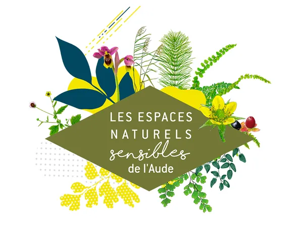 ENS - CANNE DE PROVENCE, UTILE OU INVASIVE ?