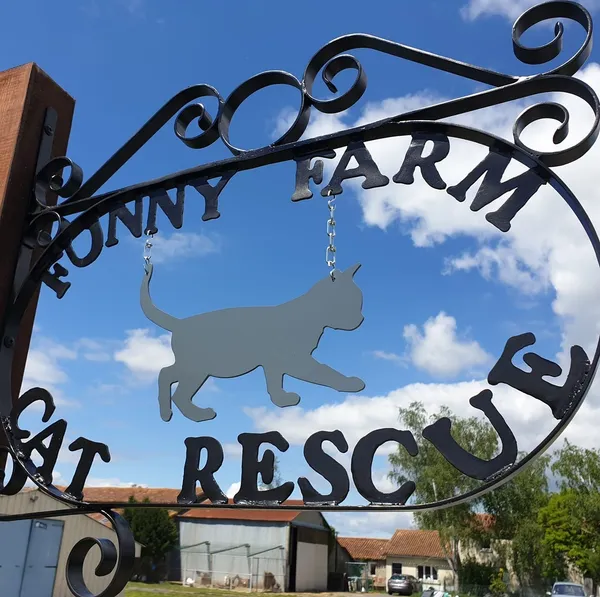 Soirée Quizz à la Funny Farm Cat Rescue