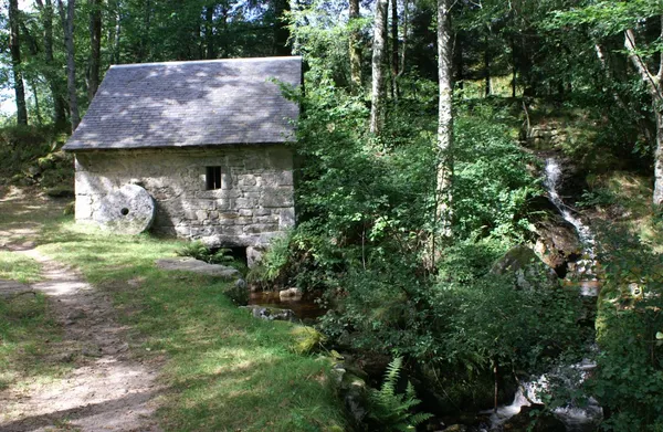 Balade et repas d'Automne
