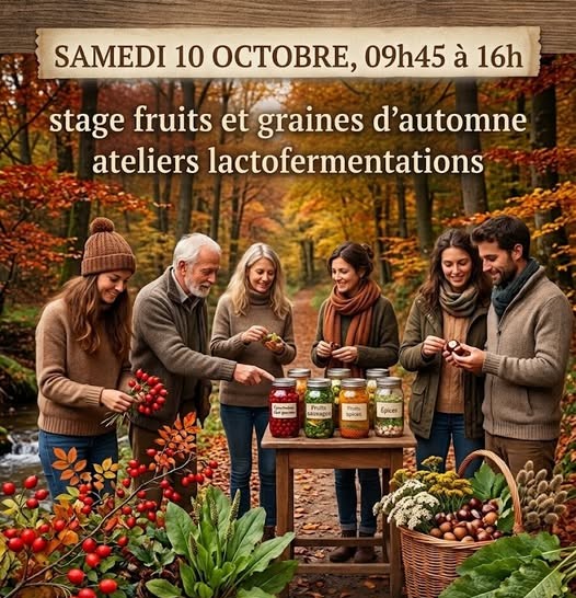 Stage fruits et graines d'automne