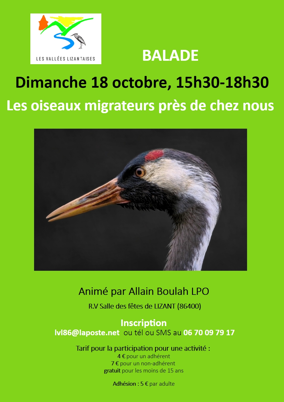Les oiseaux migrateurs près de chez nous