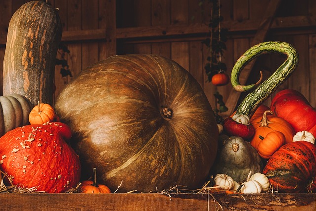Repas d'automne par Saint-Quentin Loisirs